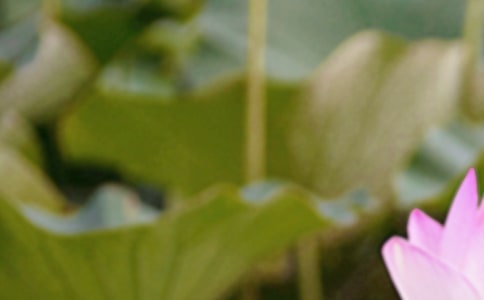 ������������ף������