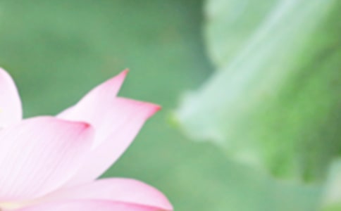 ����Ψ������ľ������