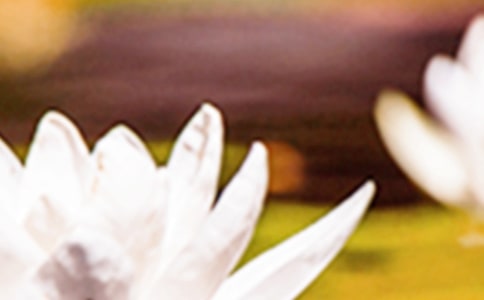 ����������Ȧ�ľ���