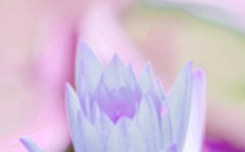 描写夏至的唯美句子