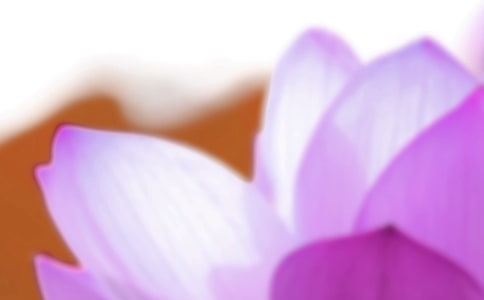 2020年夏至节气祝福语锦集37句