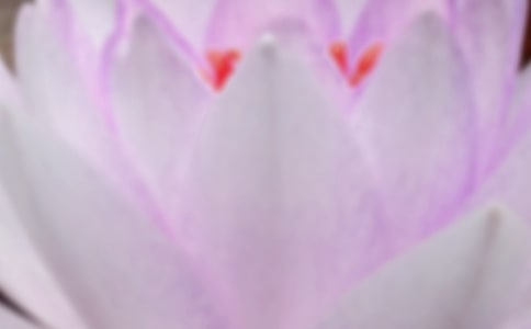 �����������ף��