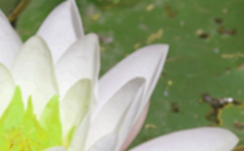 ����������Ψ���̾��Ӽ���