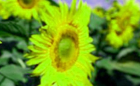 像向日葵一样治愈唯美的朋友圈说说