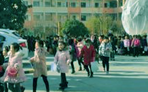 �ʺ�Сѧ����������