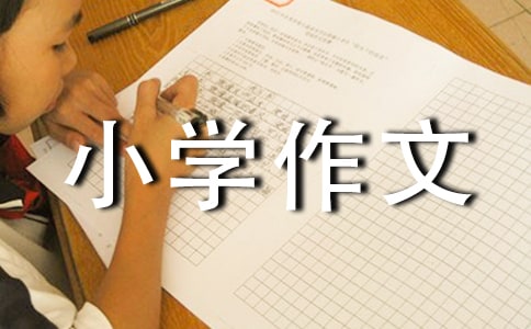 我最喜欢的格言小学作文