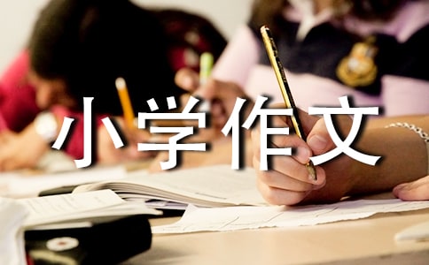 格言小学作文