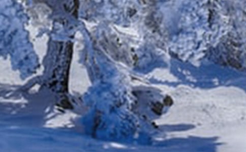 Сѩ�˸�Ц����