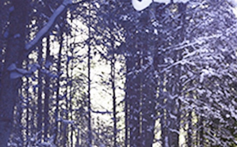 小雪节气的唯美祝福句子