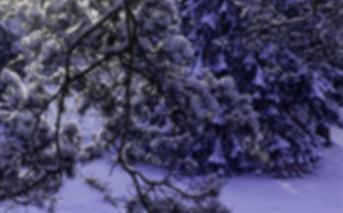 ��ʮ�Ľ���Сѩף����