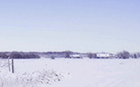 Сѩ����Ψ������ 