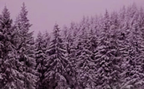 Сѩ��������ף����