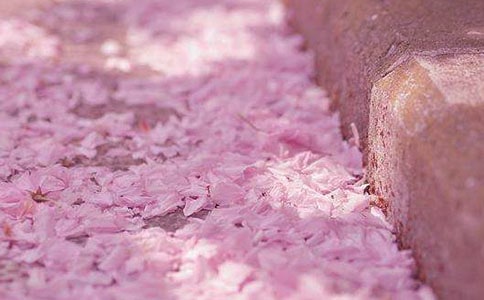 ����ӣ����Ψ������