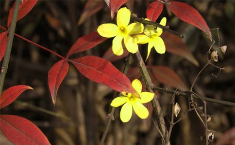 ��������Ȧɹӭ�������˵�˵˵ ӭ������������¼