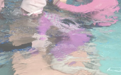 ��Ӿ8�ָ��԰������