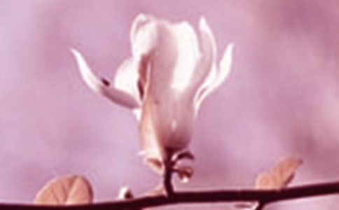 ������������Ȧ��˵˵