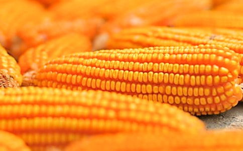 2023���������׵ľ���28��