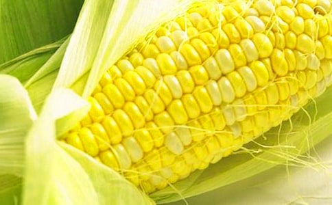 2023���������׵ľ���28��