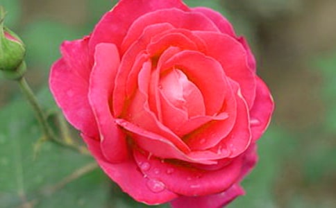 �����¼����ľ��Ӵ󼯺�58��