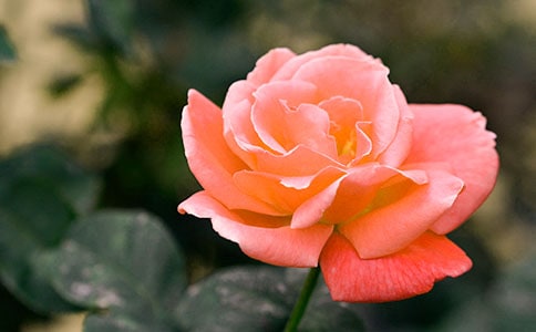 ��ѡ�����¼����ľ���39��