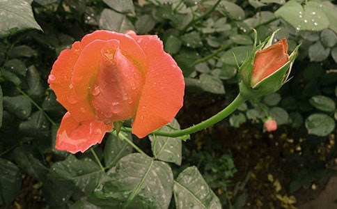 2024�������¼����ľ���28��