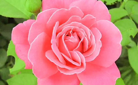 �����¼����ľ���28��