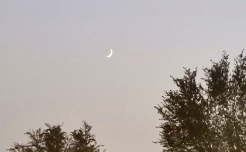 ���������˸�����˵˵