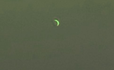 ��������˵˵����50��