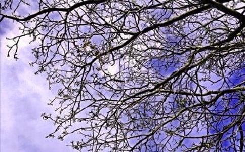 �й��������簲��¼����86��