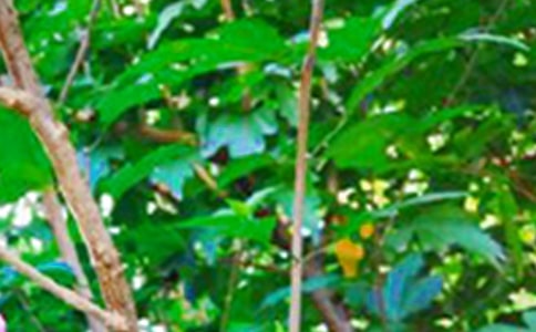 热门励志早安句子大全125句精选