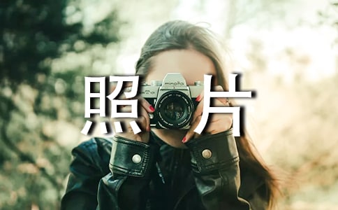 ɹ������Ƭ��˵˵