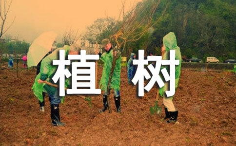 ����ֲ�������Ծ���