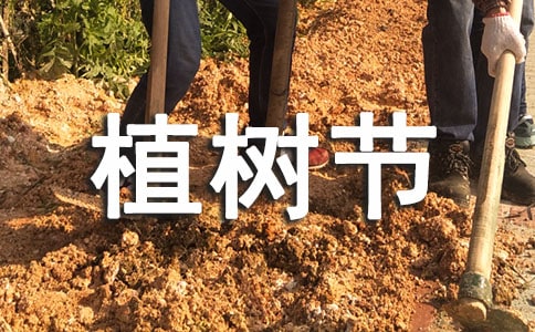 ����ֲ���ڵ���������