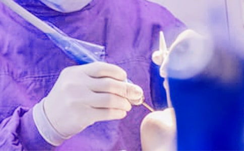 �����ǳݵ�����Ȧ˵˵