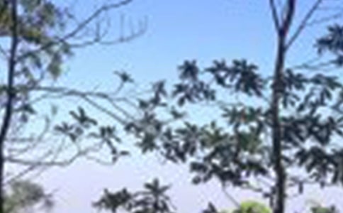 һ��˯���������˵˵