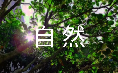 �������ݴ���Ȼ�ľ���63��