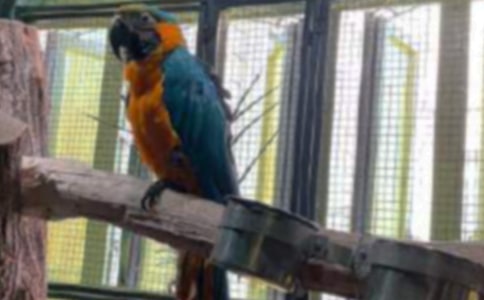 �������ĵ�˵˵