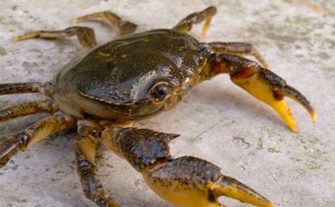 ��д�з�ľ���