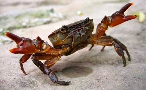 �й��з�ľ���