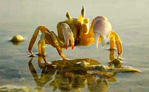 ��д�зζ���ܺóԵľ���