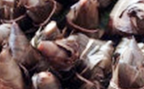 包粽子发表心情说说