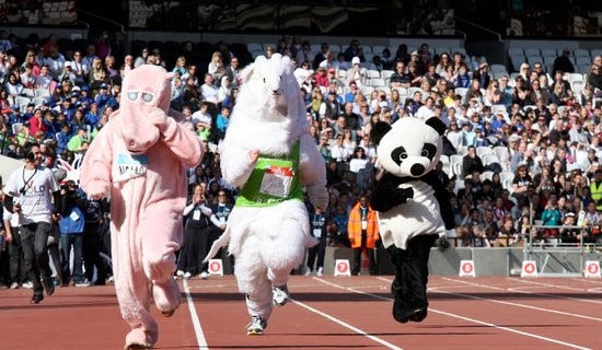 ����ƥ���˶������