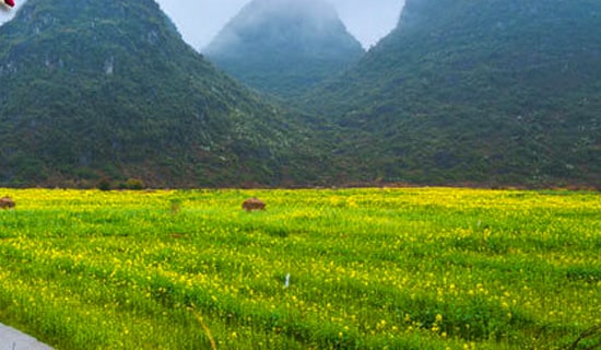 ���촺�ε�˵˵����